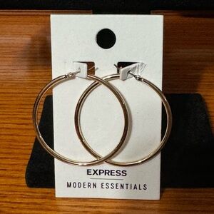 Silver Hoop Earrings